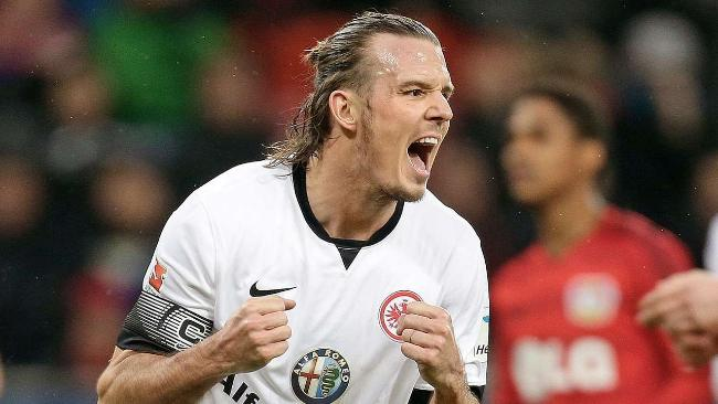 的不懈努力 的不懈努力